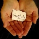 Gratitude………..