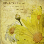 Gratitude