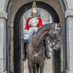 Horseguard