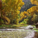 Aravaipa Canyon – east end