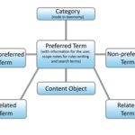 Taxonomy relationships