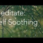 Daily Calm | 10 Minute Mindfulness Meditation | Self Soothing