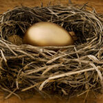 Nest Egg