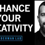 The Science of Creativity & How to Enhance Creative Innovation | Huberman Lab Podcast 103