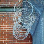 Razor Wire…chapter four The Firehydrant