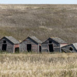 Old granaries on the prairie