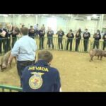 About FFA Career Development Events | National FFA Convention & Expo